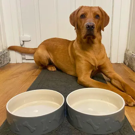 Hycemoorside House Ferienhaus Millom